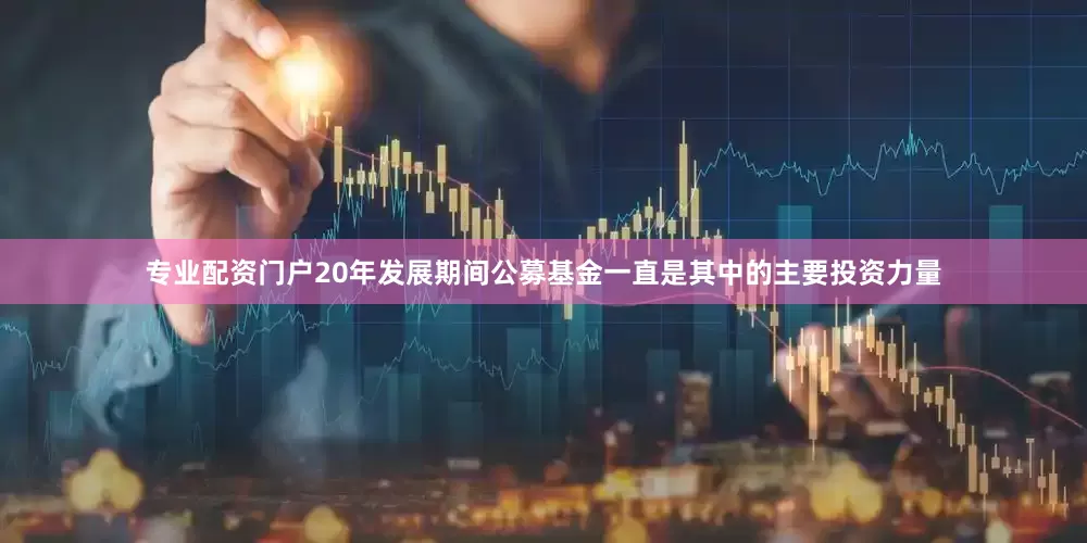 专业配资门户20年发展期间公募基金一直是其中的主要投资力量