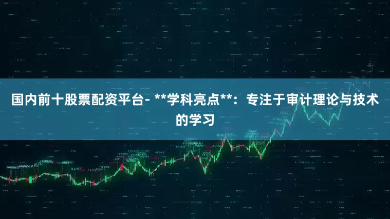 国内前十股票配资平台- **学科亮点**：专注于审计理论与技术的学习